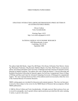 Strategic Interaction Among Heterogeneous Price