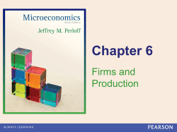 firm`s production
