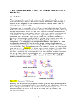 3. health effects caused by radiation and basis for