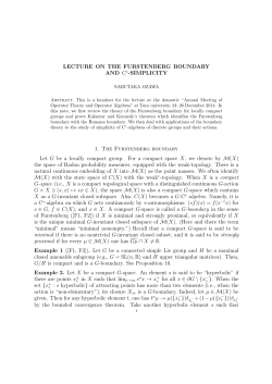 LECTURE ON THE FURSTENBERG BOUNDARY AND C