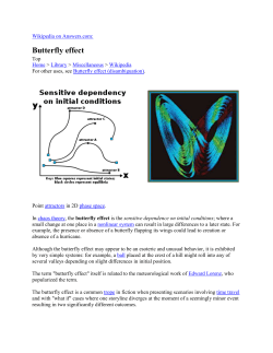 butterfly effect - Siemens Student Award