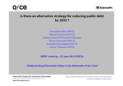 Is there an alternative strategy for reducing public debt