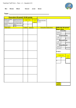 Execution (E-panel) 10.00 points Team :