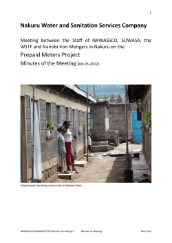 Prepaid Meters Project Work Plan