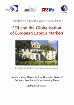 Evidence from Italian Manufacturing Firms Raffaello Bronzini