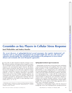 Ceramides as Key Players in Cellular Stress Response
