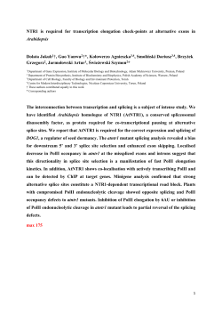 The atntr1 mutant shows bias in alternative 5` and 3` splice site