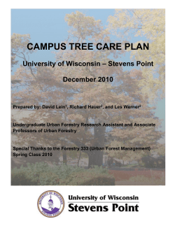 Standard Two: Campus Tree Care Plan