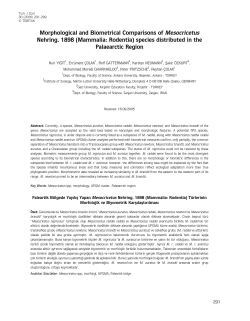 Morphological and Biometrical Comparisons of