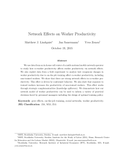 Network Effects on Worker Productivity