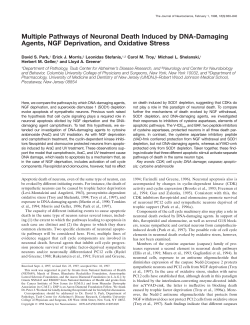 Multiple Pathways of Neuronal Death Induced by DNA