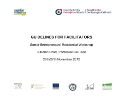 Facilitator`s Guide - McCormack Associates