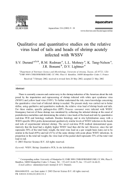 Qualitative and quantitative studies on the relative virus load of tails