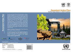 Rovaniemi Action Plan