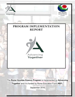 program implementation report