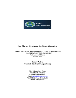 New Market Structures: the Texas Alternative