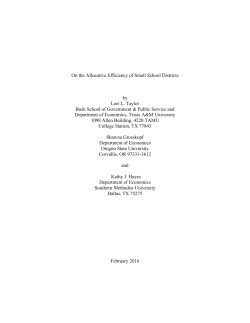 On the Allocative Efficiency of Small School Districts by Lori L. Taylor