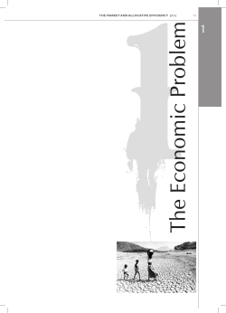 1The Economic Problem