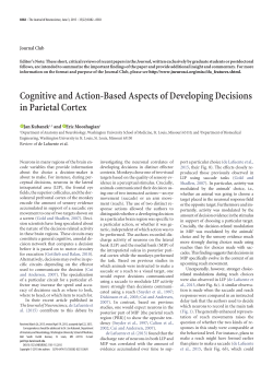 Cognitive and Action-Based Aspects of Developing Decisions in