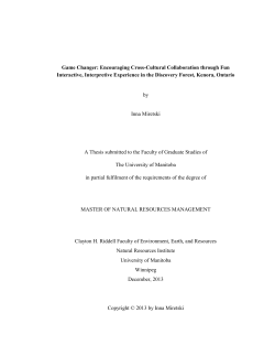 Game Changer: Encouraging Cross-Cultural Collaboration through