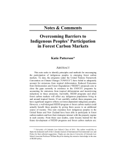 Overcoming Barriers to Indigenous Peoples` Participation in Forest