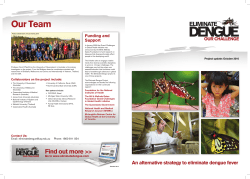 An alternative strategy to eliminate dengue fever