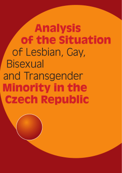 Analysis of the Situation of Lesbian, Gay, Bisexual and Transgender