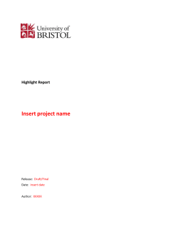 Highlight report (Office document, 128kB)