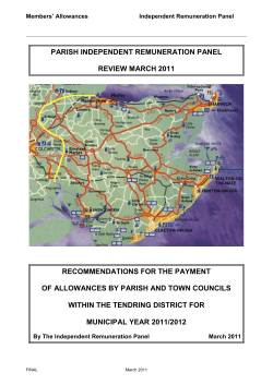 purpose of the parish review / report