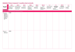 Summary statements What issues or conclusions came out of the