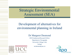 Strategic Environmental Assessment (SEA)
