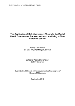 The Application of Self-discrepancy Theory to the