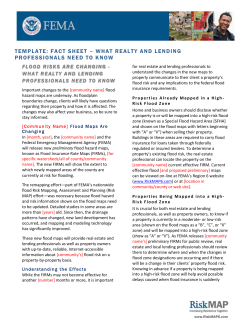 Template Fact Sheet-What Realty and Lending