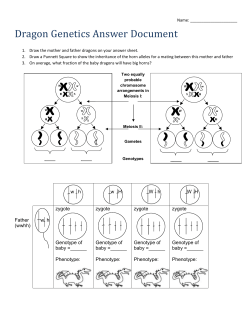 Dragon Genetics Answer Document