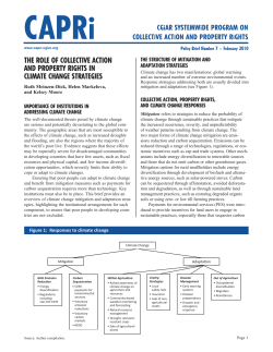 The Role of ColleCTive aCTion and pRopeRTy RighTs in ClimaTe