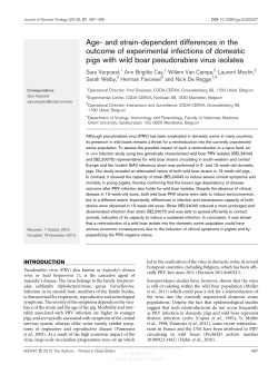 and strain-dependent differences in the outcome of experimental