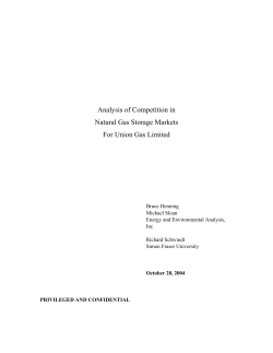 Analysis of Competition in Natural Gas Storage Markets For Union