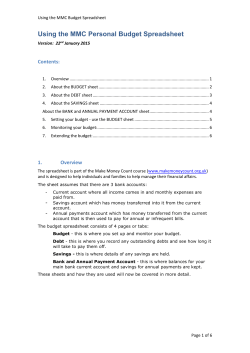 About the BANK and ANNUAL PAYMENT ACCOUNT sheet