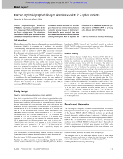 Human erythroid porphobilinogen deaminase exists
