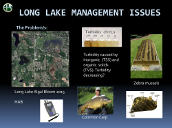 Long Lake management issues