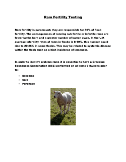 Ram fertility testing