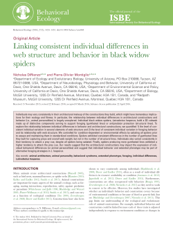 Linking consistent individual differences in web