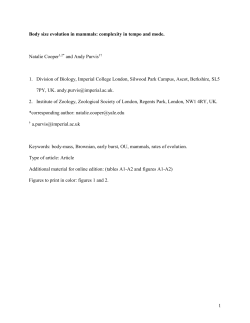 PhD Thesis - Grazing ecology and performance of Soay sheep
