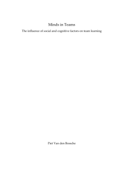 Minds in teams - Maastricht University Research Portal
