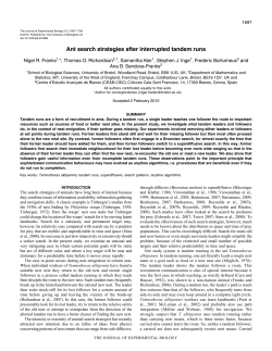 Ant search strategies after interrupted tandem runs