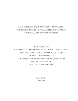 self-interest, group interest, and values: the