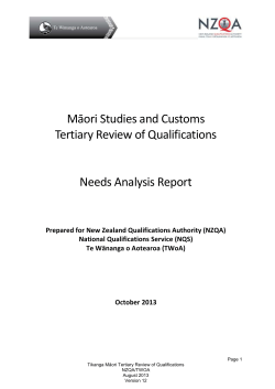 Appendix 4 - Stakeholder Hui Minutes Te Reo Māori