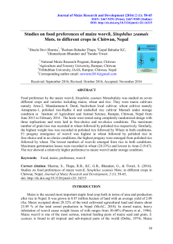 Studies on food preferences of maize weevil, Sitophilus zeamais