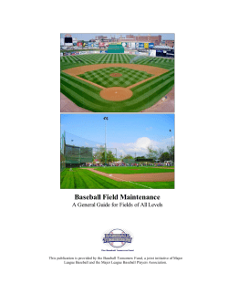 Baseball Field Maintenance