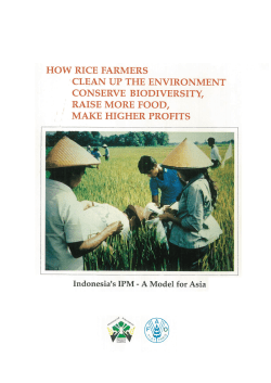 How rice farmers clean up the environment conserve biodiversity